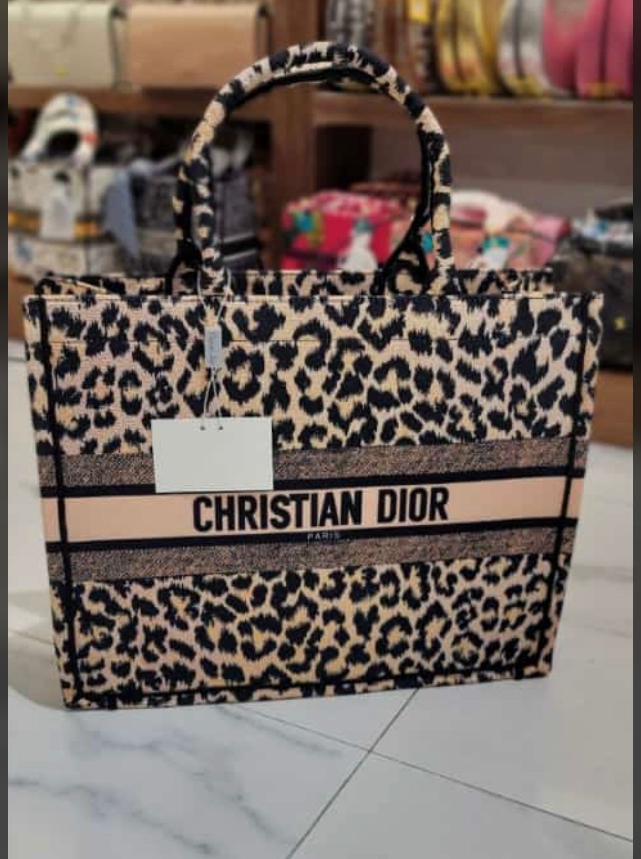 Sac Dior Book Tote Medium