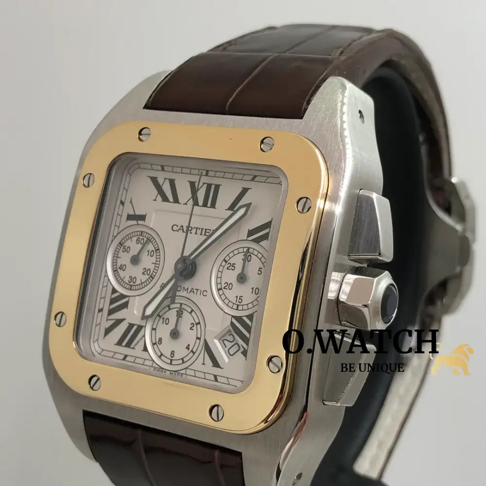 Cartier Santos Chronograph Stainless Steel Bronze Montre